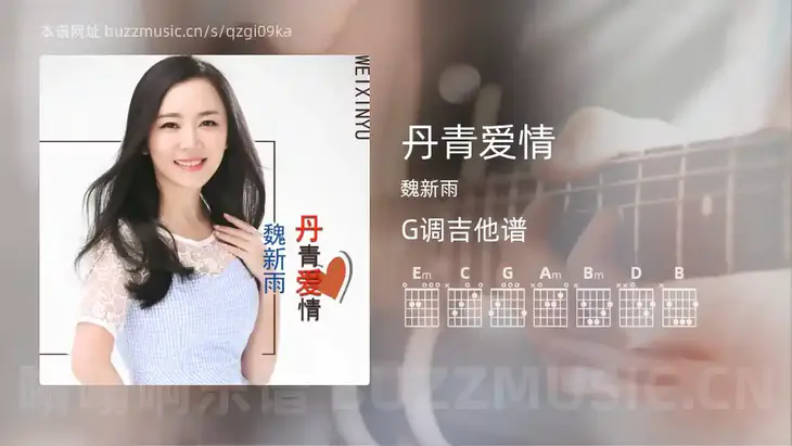 丹青爱情 魏新雨 吉他谱G调简单版