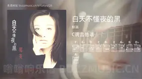 白天不懂夜的黑吉他谱C调 那英 简单版