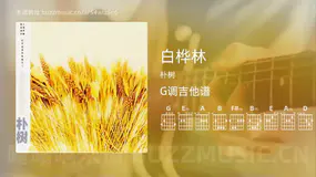 白桦林 朴树 吉他谱G调简单版