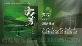 流芳 苏诗丁 吉他谱C调简单版