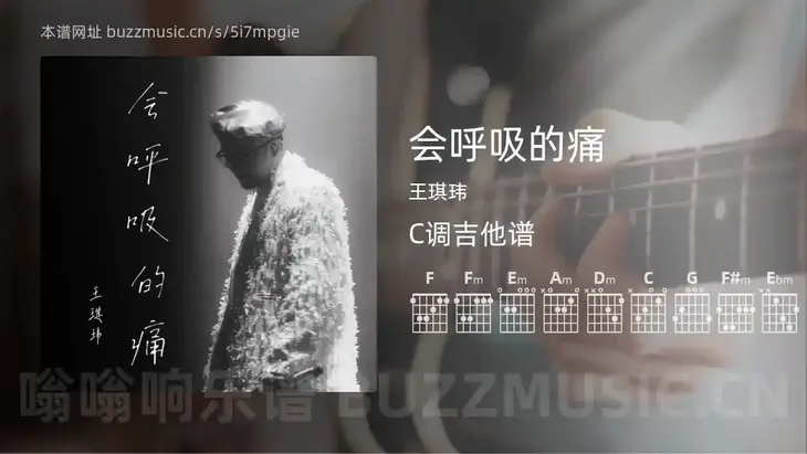 会呼吸的痛 王琪玮 吉他谱C调简单版