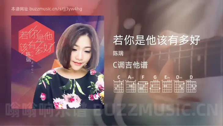 若你是他该有多好 陈瑞 吉他谱C调简单版