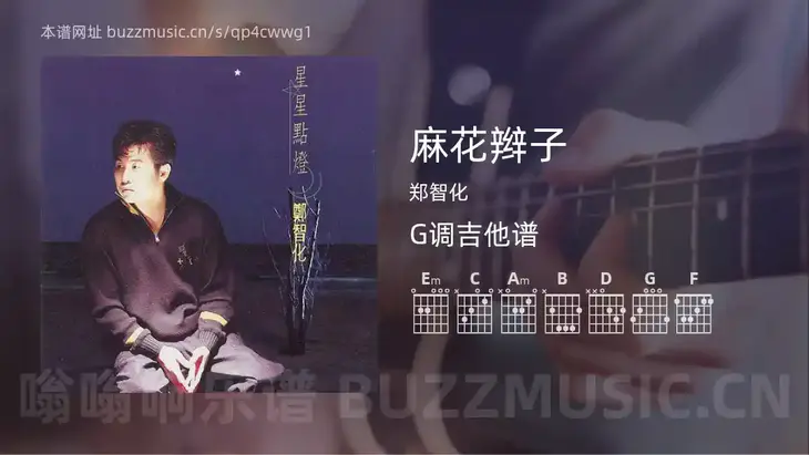 麻花辫子 郑智化 吉他谱G调简单版
