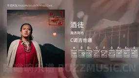 酒徒 奥杰阿格 吉他谱C调简单版