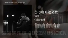伤心咖啡馆之歌 张过年 吉他谱C调简单版