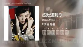 感激遇到你 胡杏儿,黄宗泽 吉他谱C调简单版