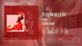 不后悔爱过你 许丽静 吉他谱C调简单版