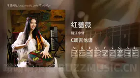 红蔷薇 丽江小倩 吉他谱C调简单版
