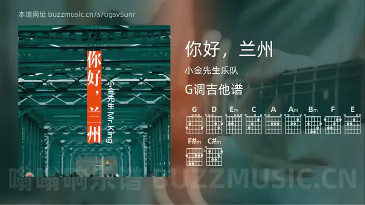你好，兰州 小金先生乐队 吉他谱G调简单版
