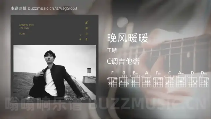 晚风暖暖 王晰 吉他谱C调简单版