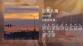 日落人海 Vicky宣宣 吉他谱G调简单版
