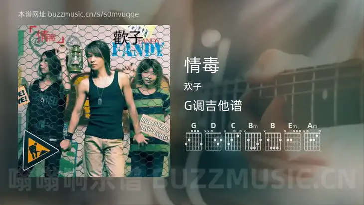 情毒 欢子 吉他谱G调简单版