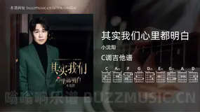 其实我们心里都明白吉他谱C调 小沈阳 简单版