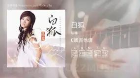 白狐 陈瑞 吉他谱C调简单版