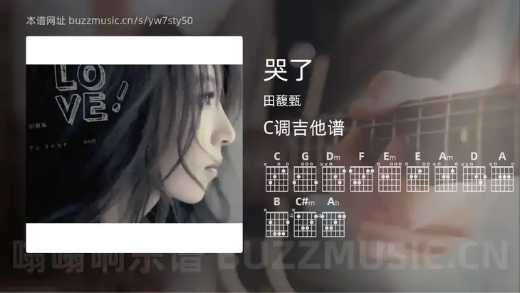 哭了吉他谱C调 田馥甄 简单版