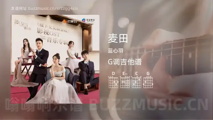 麦田 蓝心羽 吉他谱G调简单版