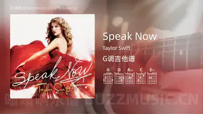 Speak Now Taylor Swift 吉他谱G调简单版
