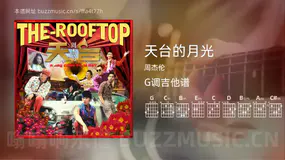 天台的月光 周杰伦 吉他谱G调简单版