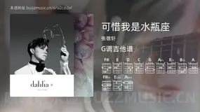 可惜我是水瓶座 张敬轩 吉他谱G调简单版