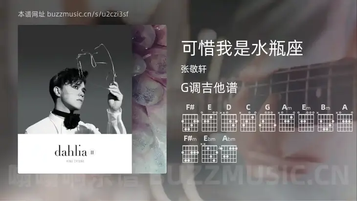 可惜我是水瓶座 张敬轩 吉他谱G调简单版