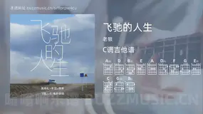 飞驰的人生 老狼 吉他谱C调简单版