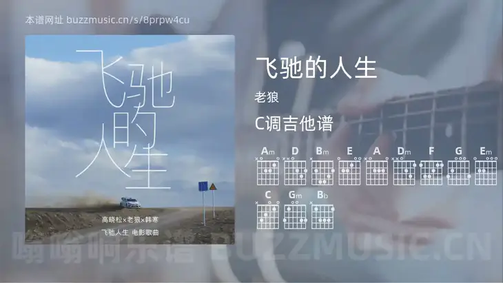 飞驰的人生 老狼 吉他谱C调简单版