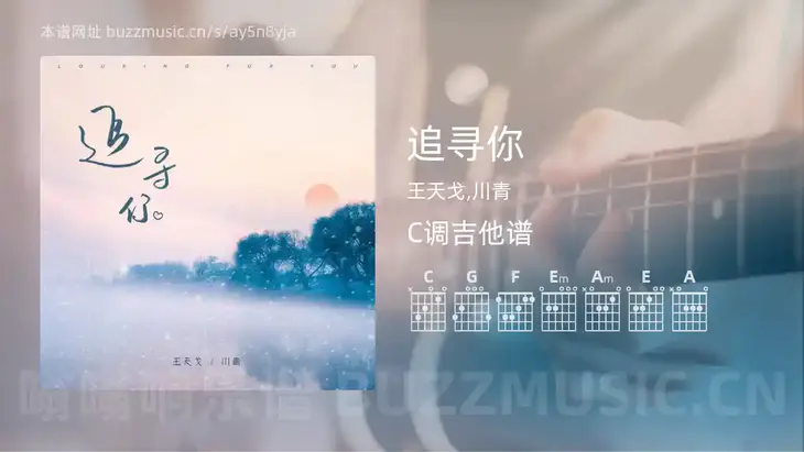 追寻你吉他谱C调 王天戈,川青 简单版