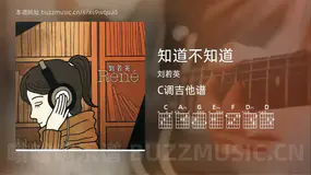 知道不知道 刘若英 吉他谱C调简单版