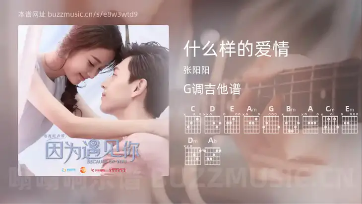 什么样的爱情 张阳阳 吉他谱G调简单版