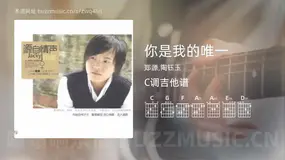 你是我的唯一 郑源,陶钰玉 吉他谱C调简单版