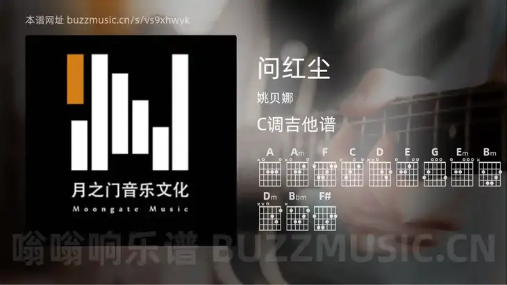 问红尘 姚贝娜 吉他谱C调简单版