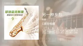 另一种乡愁 群星 吉他谱C调简单版