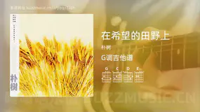 在希望的田野上 朴树 吉他谱G调简单版