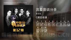 流着泪说分手 苏立生 吉他谱C调简单版