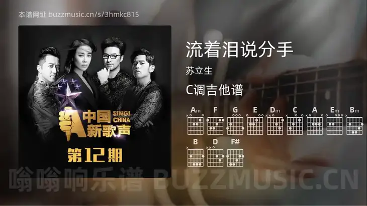 流着泪说分手 苏立生 吉他谱C调简单版
