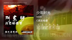 少年时光吉他谱C调 刘东明 简单版