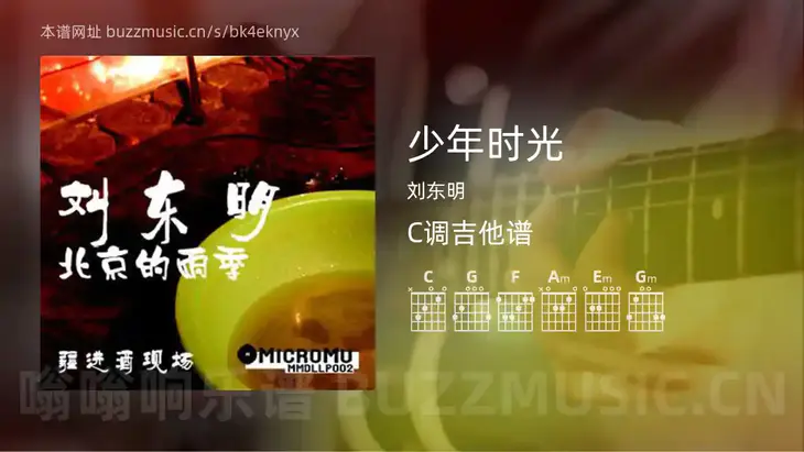 少年时光吉他谱C调 刘东明 简单版