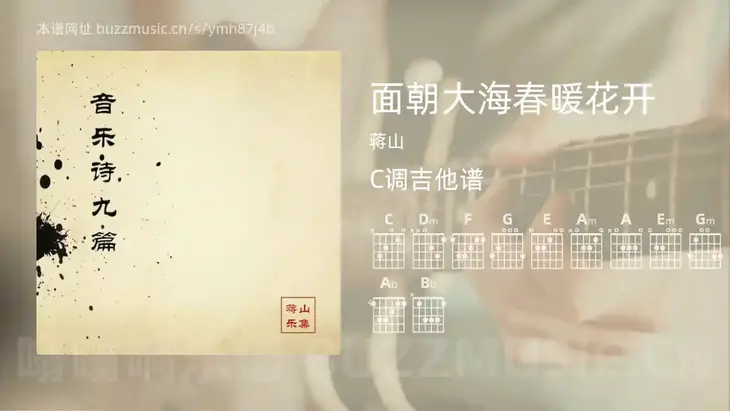 面朝大海春暖花开吉他谱C调 蒋山 简单版