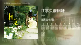往事只能回味 侃侃 吉他谱G调简单版