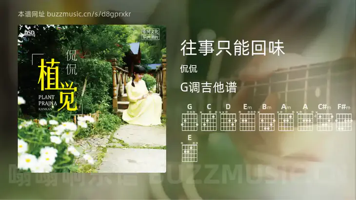 往事只能回味 侃侃 吉他谱G调简单版
