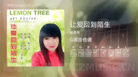 让爱回到陌生 杨美华 吉他谱G调简单版