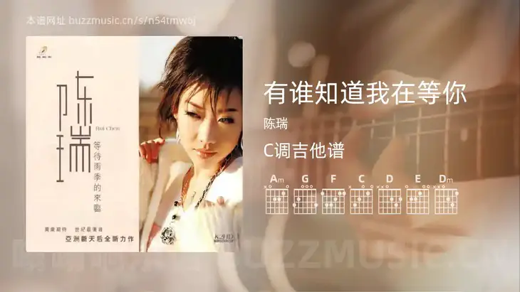 有谁知道我在等你 陈瑞 吉他谱C调简单版