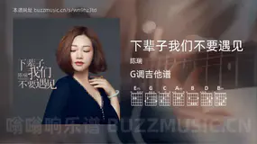 下辈子我们不要遇见 陈瑞 吉他谱G调简单版