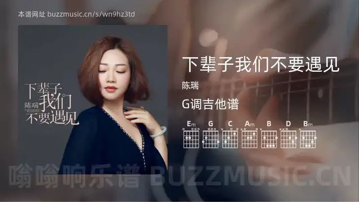 下辈子我们不要遇见 陈瑞 吉他谱G调简单版