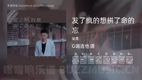 发了疯的想拼了命的忘 玺晨 吉他谱G调简单版