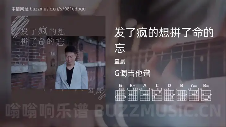 发了疯的想拼了命的忘 玺晨 吉他谱G调简单版