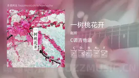 一树桃花开 赵照 吉他谱C调简单版