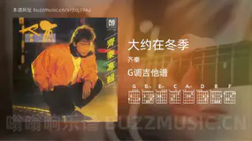 大约在冬季 齐秦 吉他谱G调简单版
