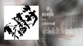 榕树花 川子 吉他谱C调简单版