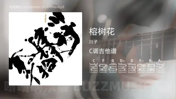 榕树花 川子 吉他谱C调简单版